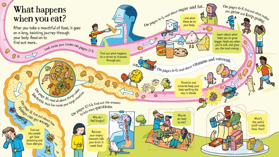 Usborne Look Inside What Happens When You Eat