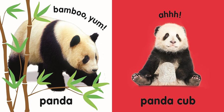 Baby Touch and Feel Roar! Roar!