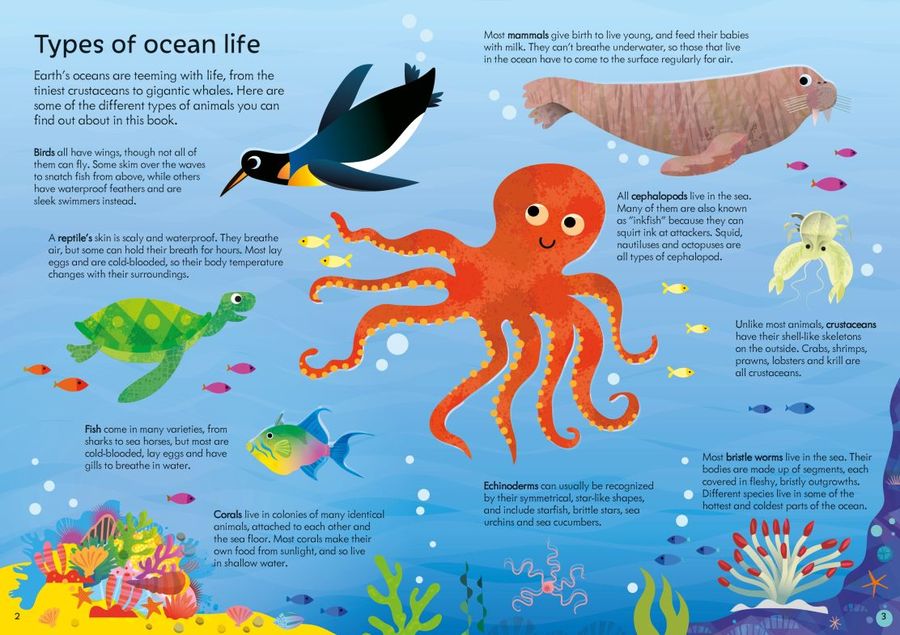 Usborne Book and Jigsaw Oceans