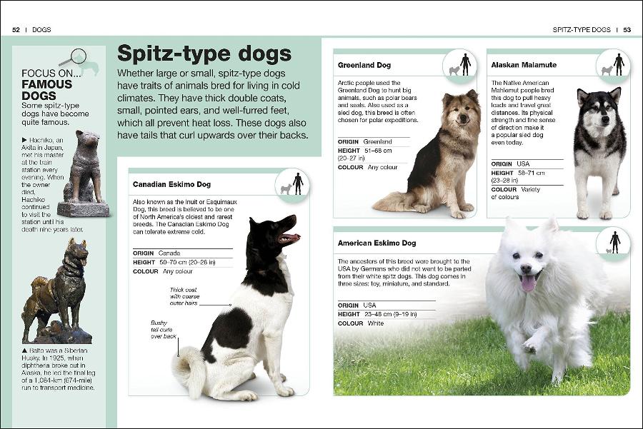 Pocket Eyewitness Dogs Facts at Your Fingertips