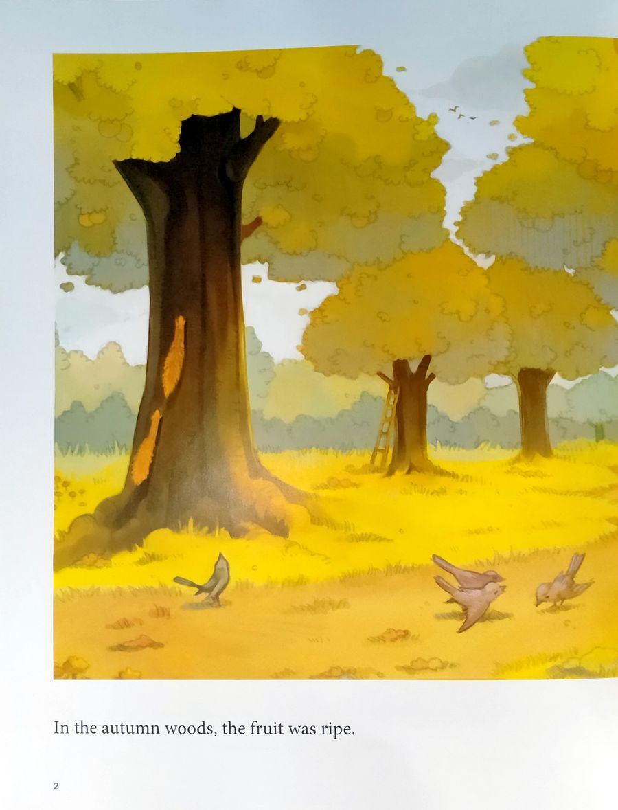 My First Chinese Storybooks Animals A Little Hedgehog Goes Fruit Picking