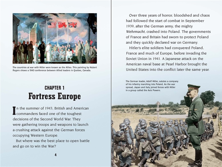 Usborne Young Reading 3 D-Day