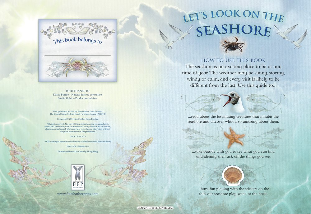 Let's Look on the Seashore: A Spot and Learn, Stick and Play Book