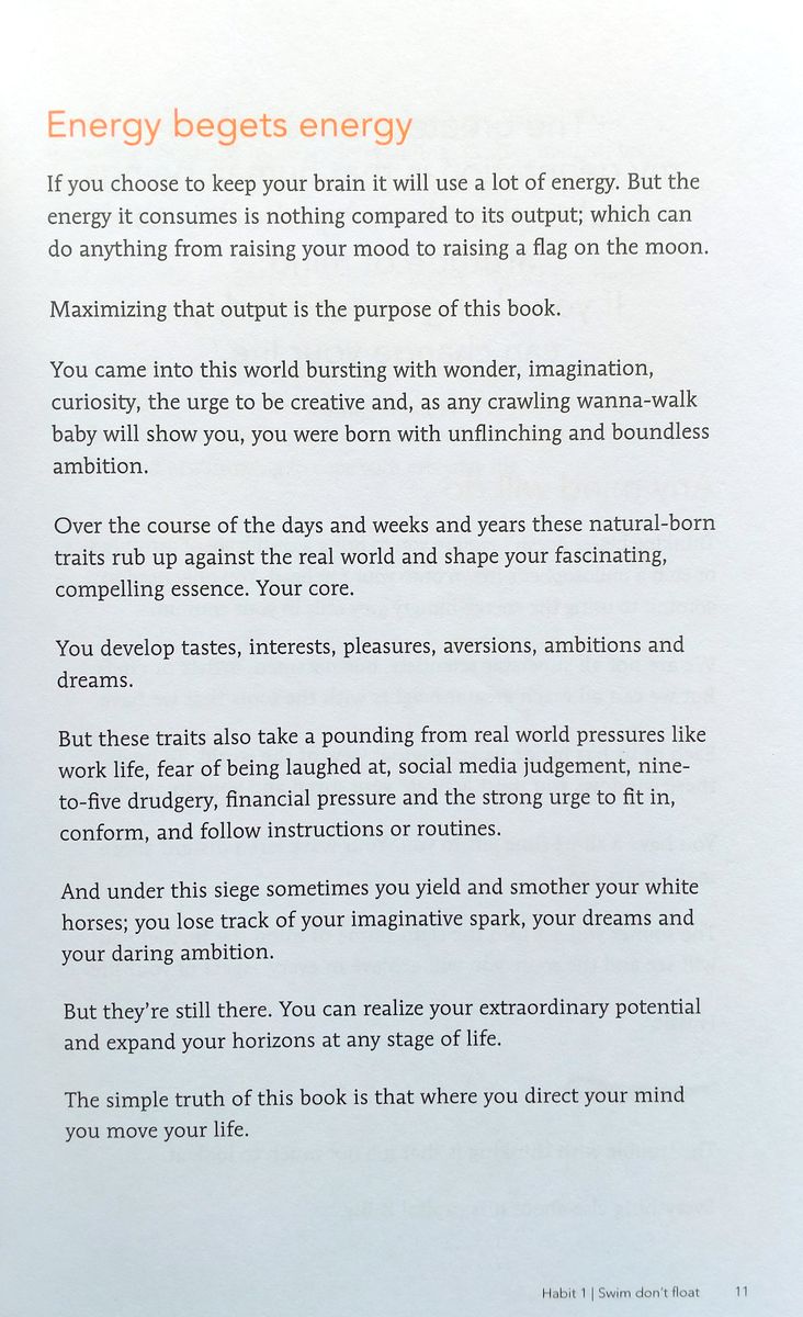 The Little Book of Thinking Big