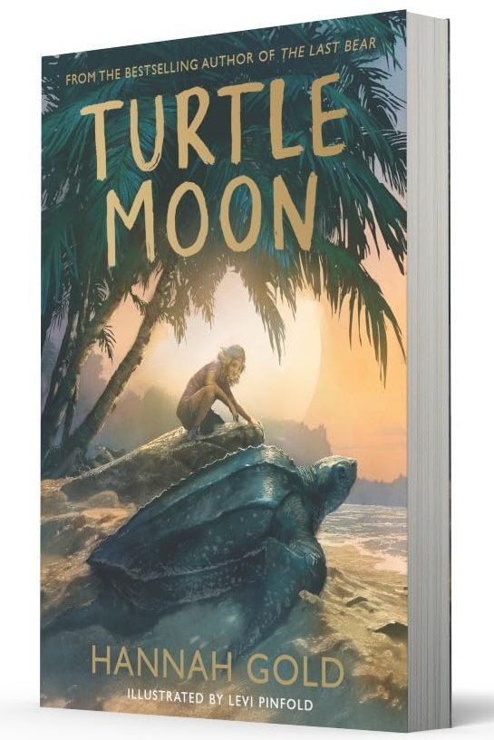 Turtle Moon Paperback