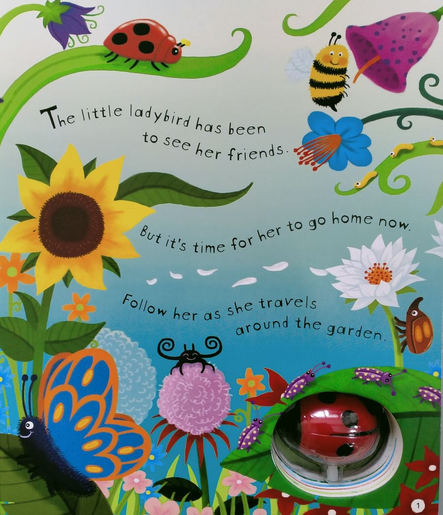 Usborne Wind-Up Ladybird