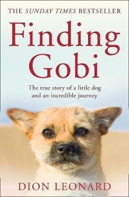 Finding Gobi (Main edition) The True Story of a Little Dog and an Incredible Journey