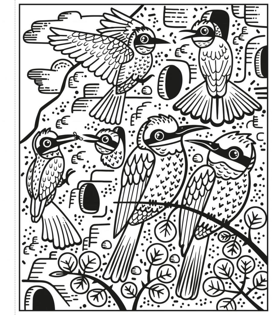 Usborne Birds Magic Painting Book