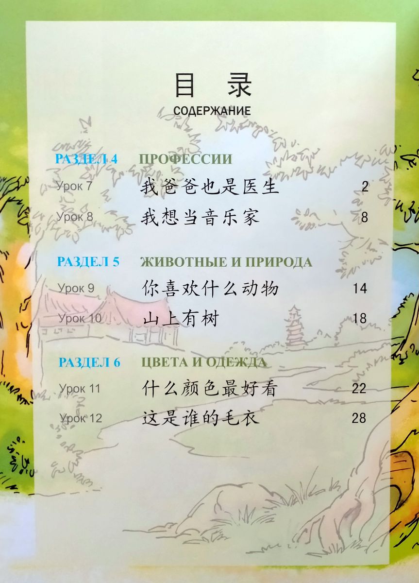 Царство китайского языка (русское издание) 2B рабочая тетрадь