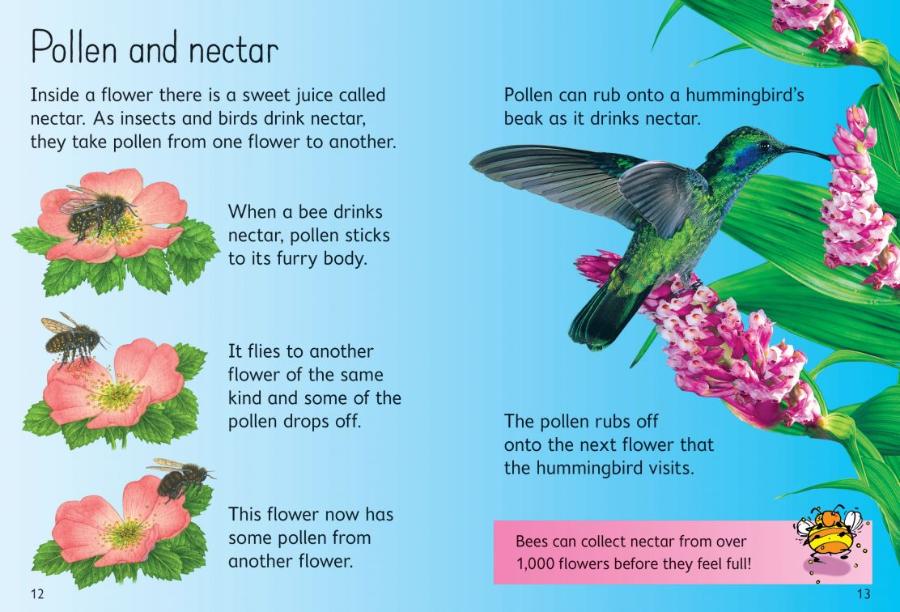 Usborne Beginners How Flowers Grow