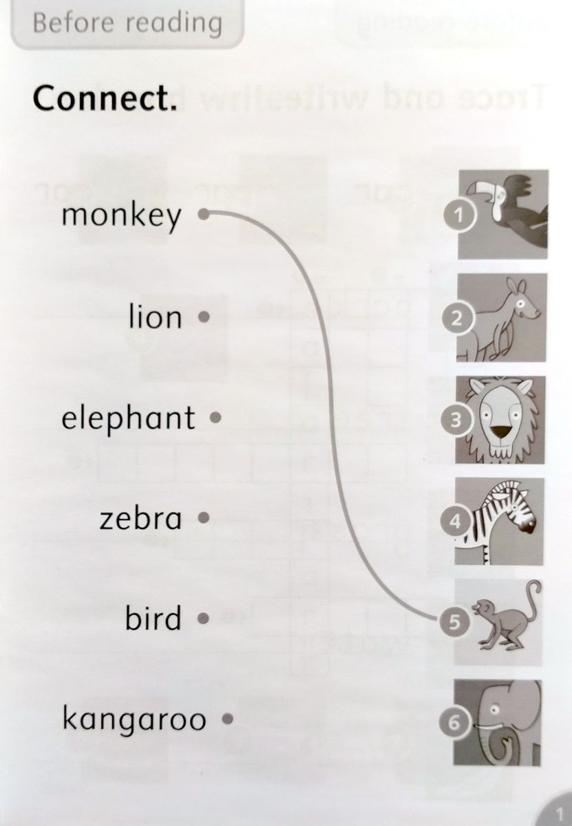 Dolphin Readers 1 On Safari Activity Book