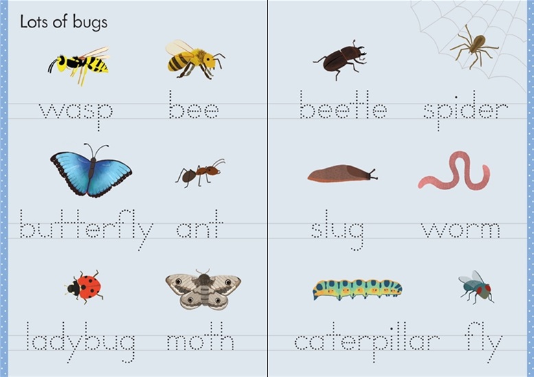 Usborne Little Wipe-Clean Word Book Outdoors