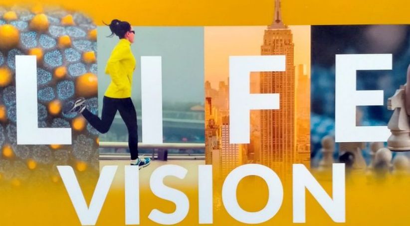 Life Vision, часть 5: cистема оценивания