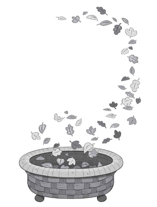 Fairy Forest School Book 5 Red Panda Riddle
