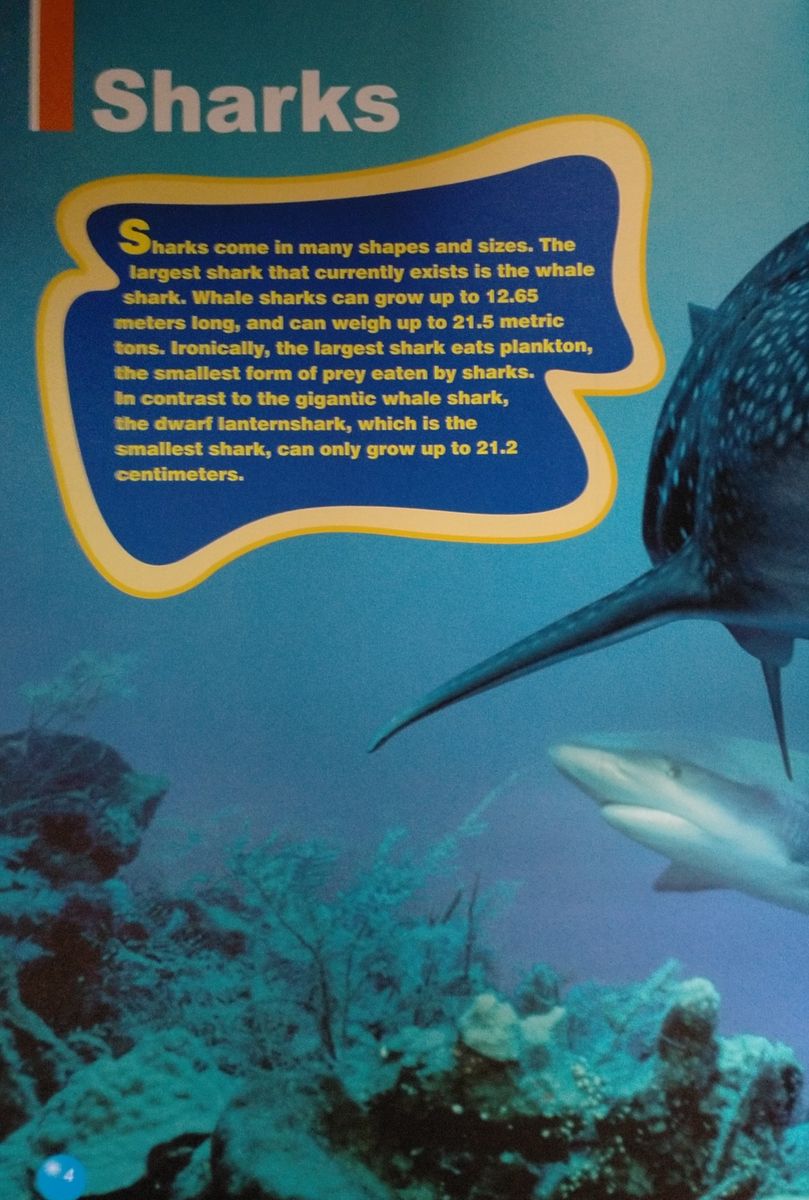 Discover Our Amazing World The Tiger Shark with Digibook