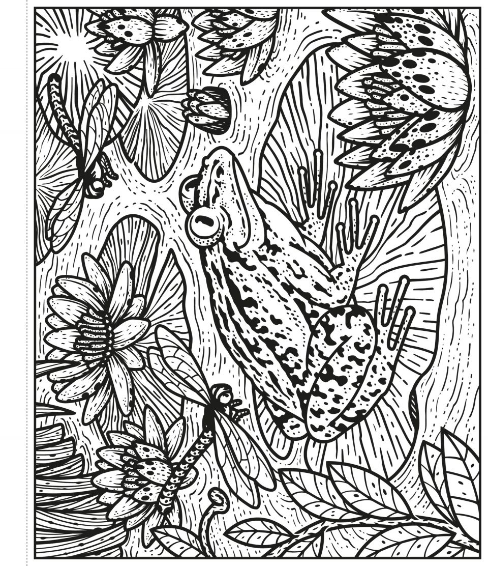 Usborne Garden Magic Painting Book