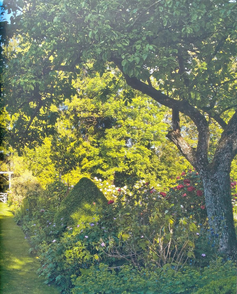 Flower Couture From My Garden to My House