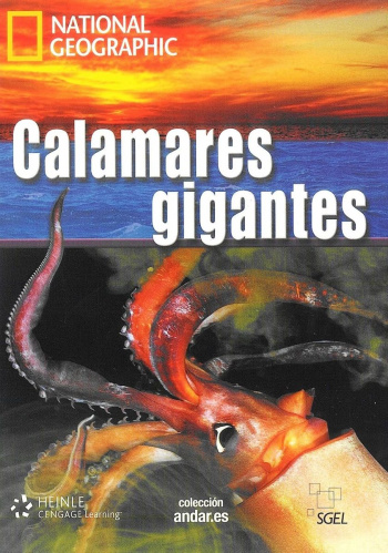 Andar C1 Calamares gigantes + CD