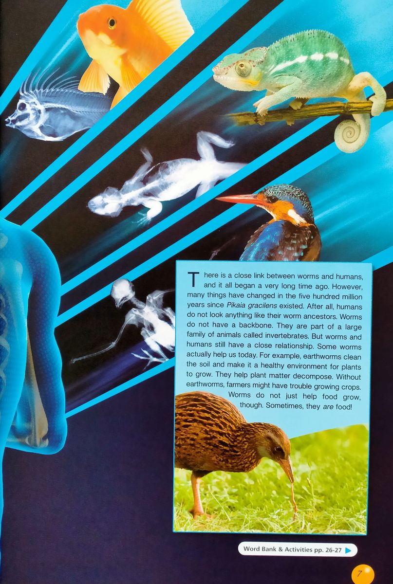 Discover Our Amazing World Worms with Digibook