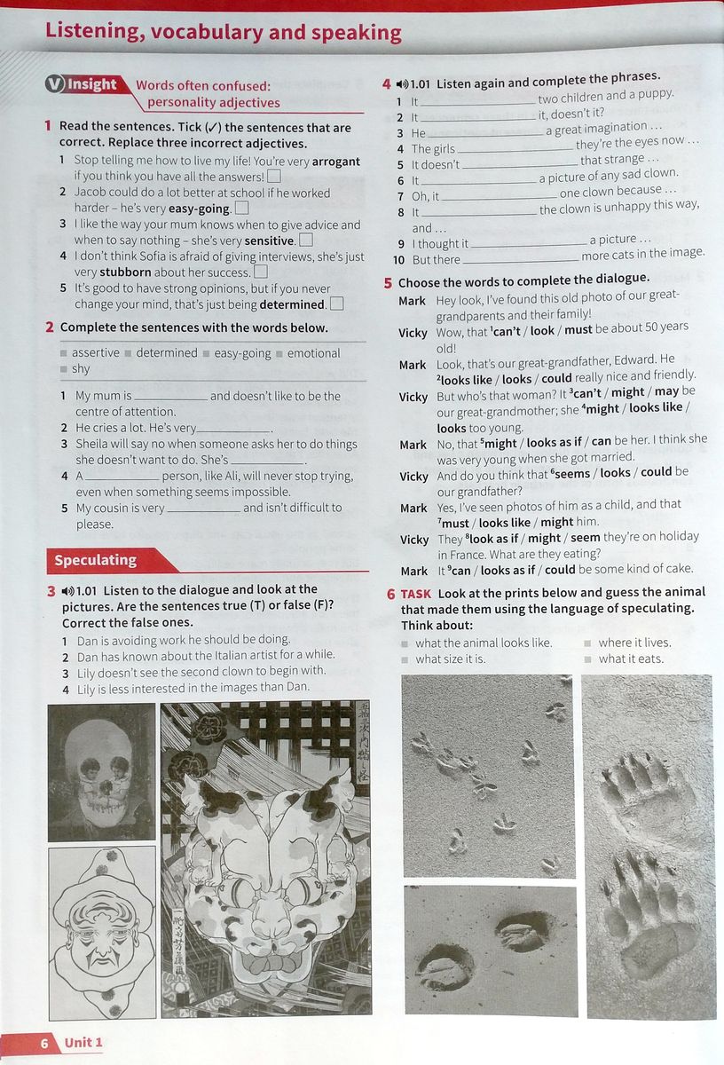 Insight (2nd edition) Intermediate Workbook