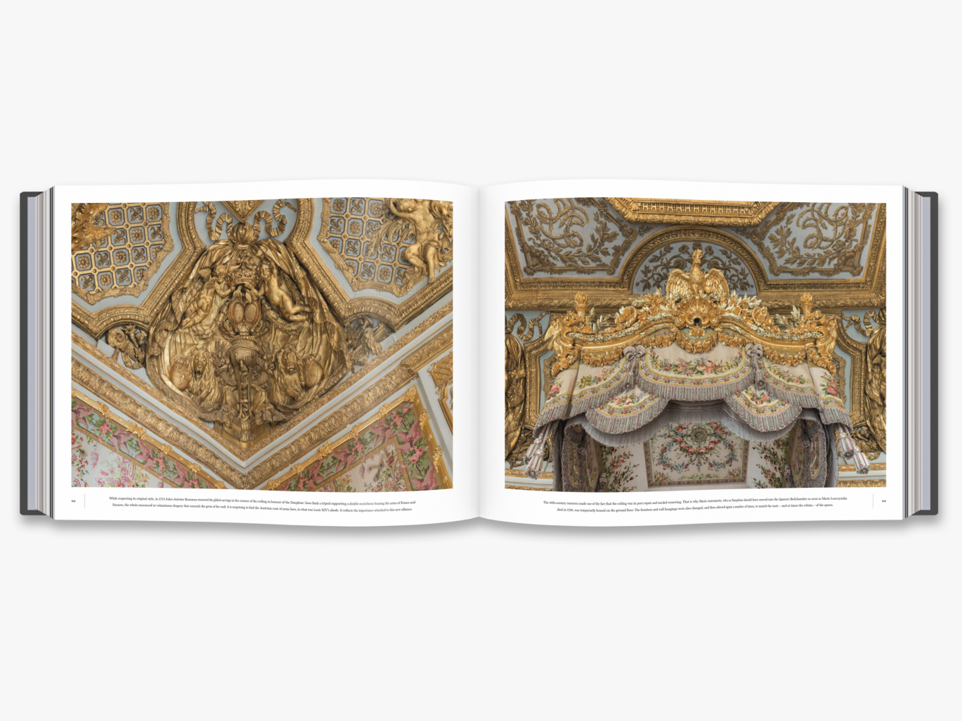 Versailles The Great and Hidden Splendours of the Sun King's Palace