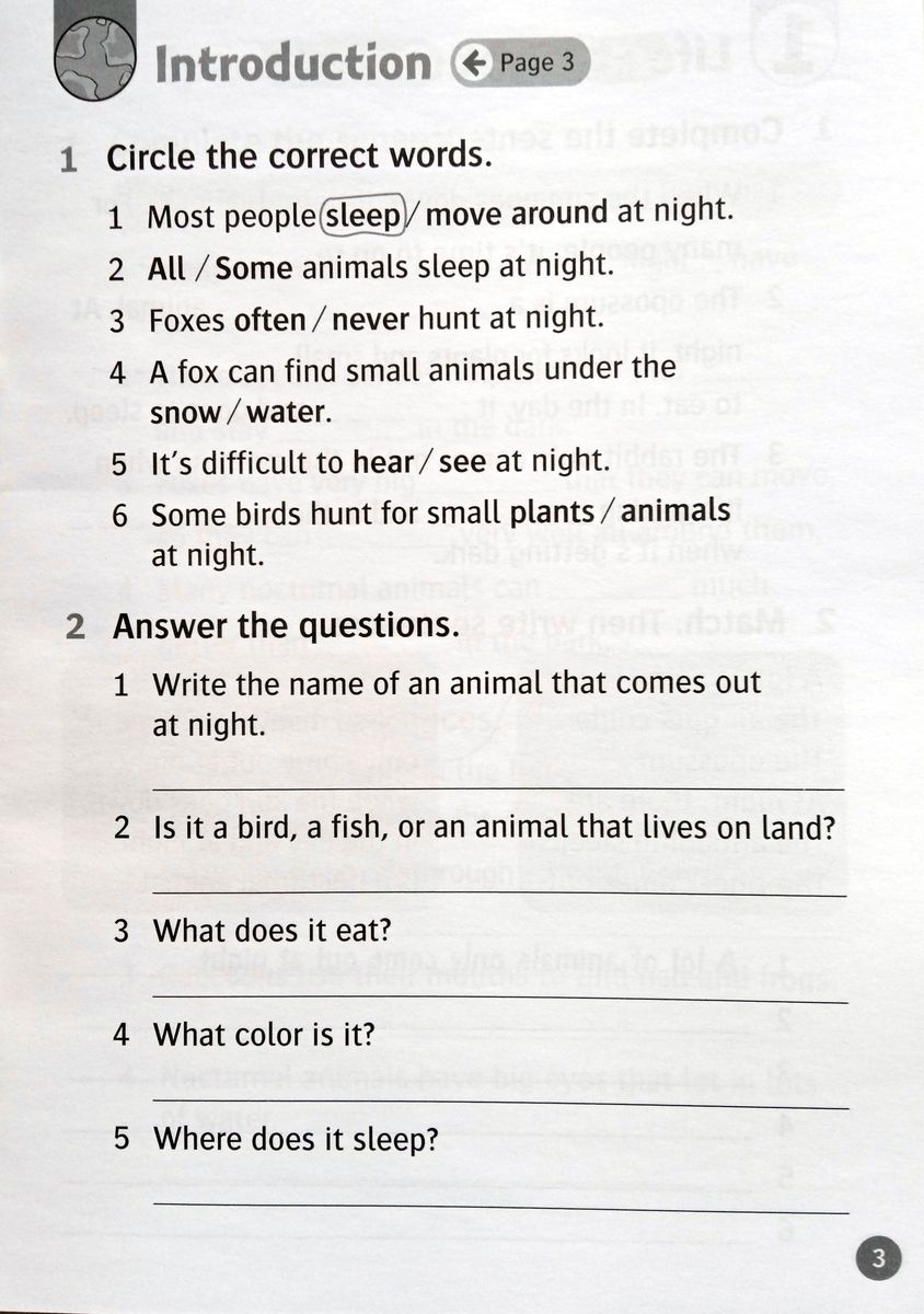 Oxford Read and Discover 4 Animals at Night Activity Book