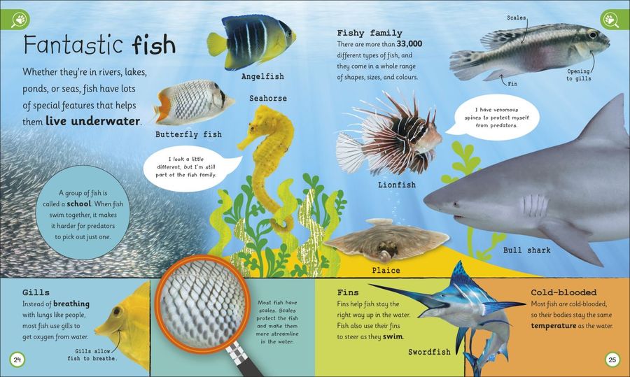 My Encyclopedia of Very Important Animals