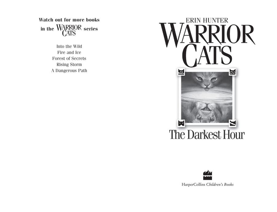 Warriors 6 The Darkest Hour