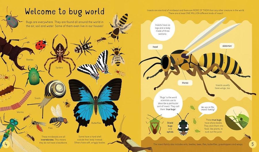 Bugs are Cool and So is This Book. Fact.