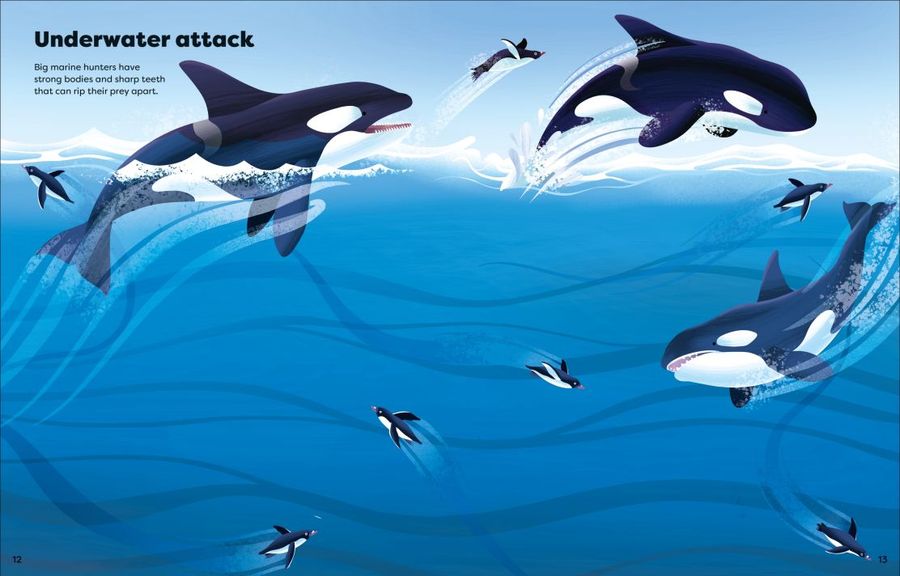 Usborne Big Sticker Book of Deadly Animals