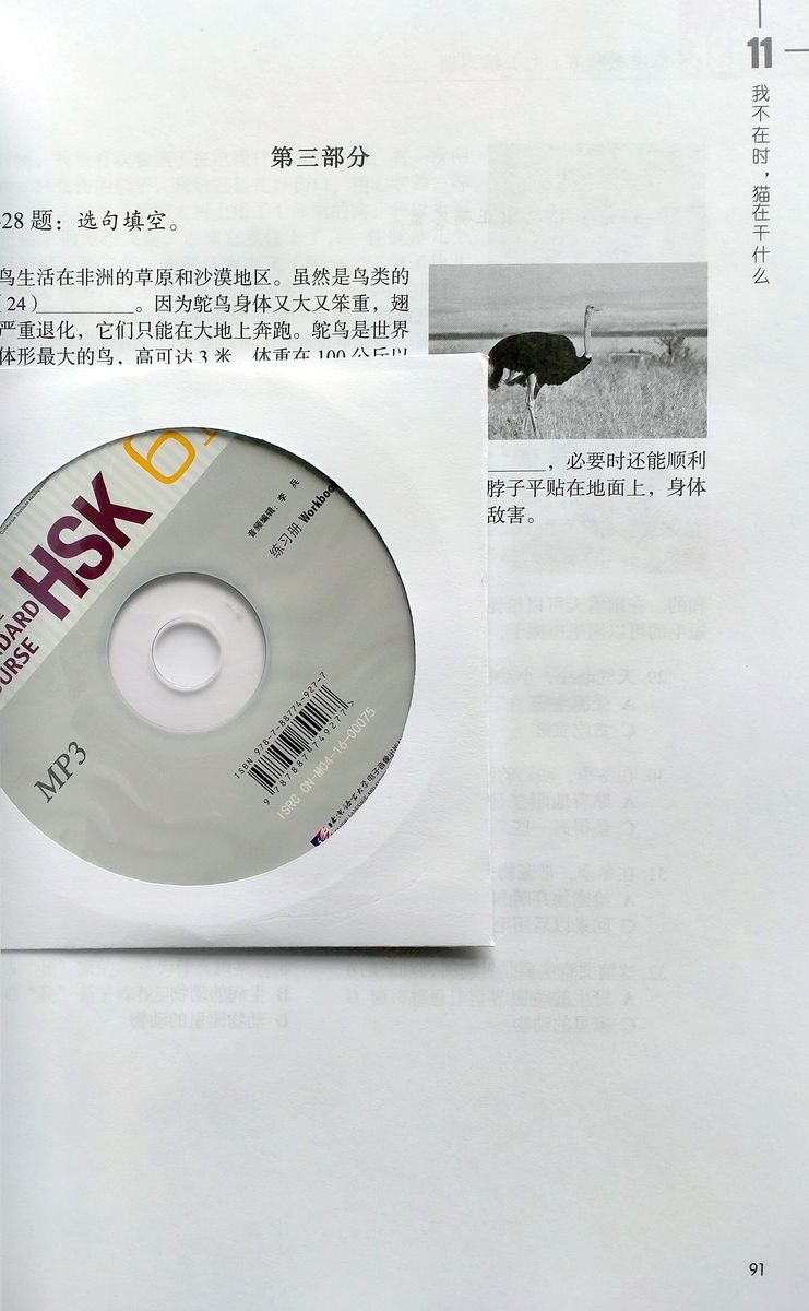 HSK Standard Course 6A Workbook