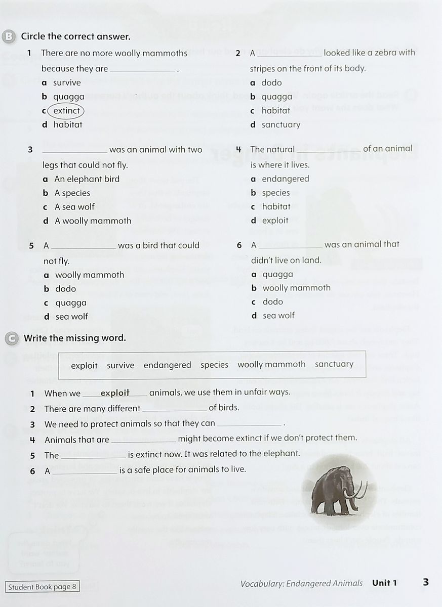 Oxford Discover 5 Workbook