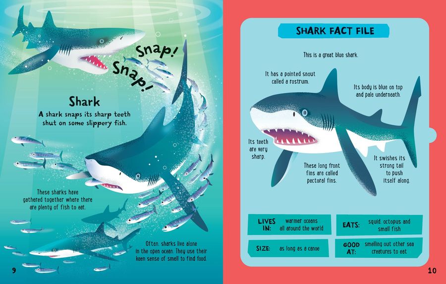 Usborne Slot-Together Sea Creatures Book