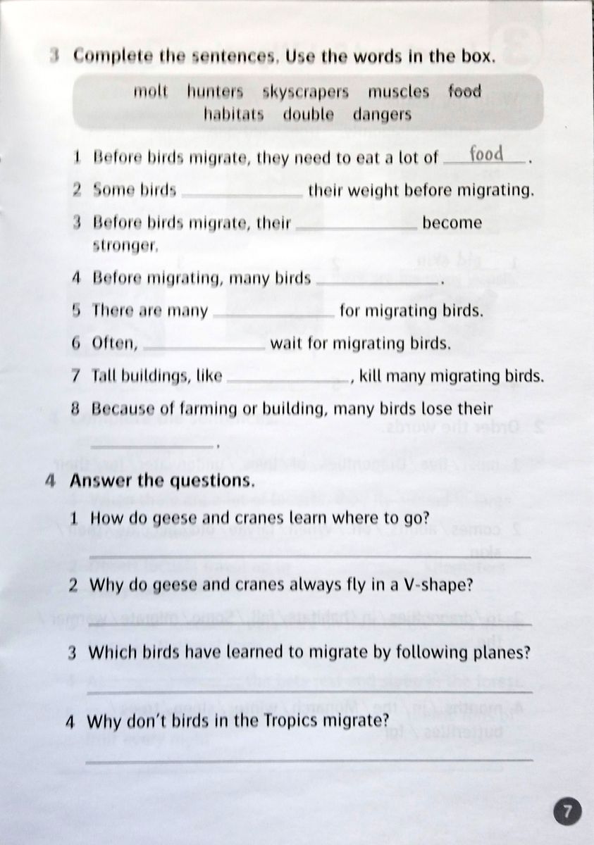 Oxford Read and Discover 5 Great Migrations Activity Book