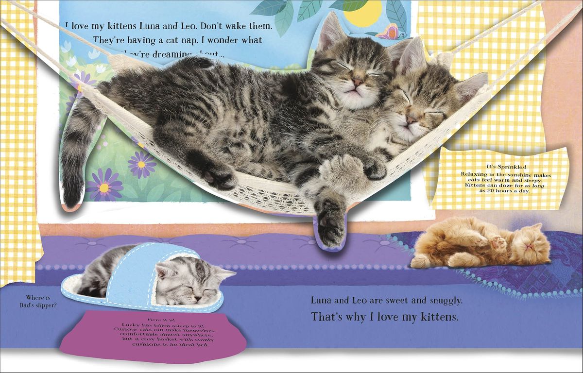 I Love My Kitten A Pop-Up Book About the Lives of Cute Kittens