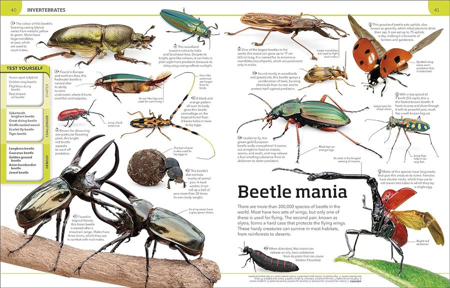 Animal Knowledge Genius A Quiz Encyclopedia to Boost Your Brain