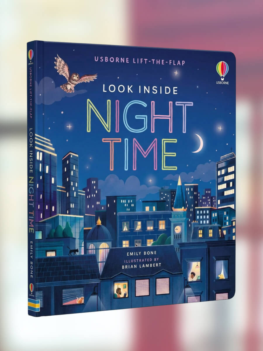 Usborne Lift the Flap Look Inside Night Time