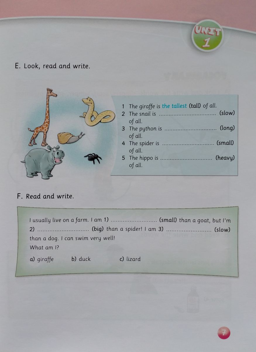 Welcome Plus 4 Vocabulary and Grammar Practice