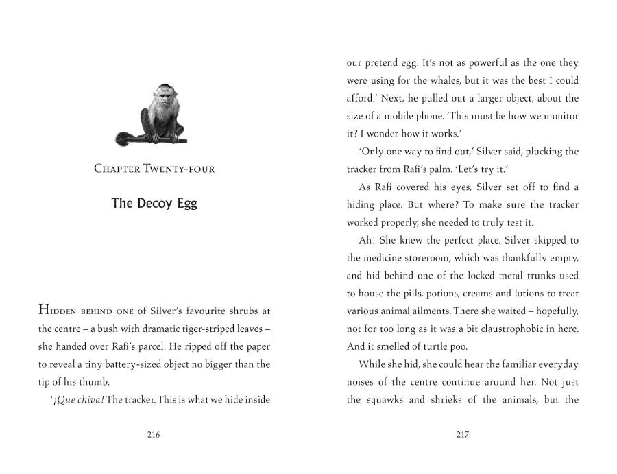 Turtle Moon Paperback