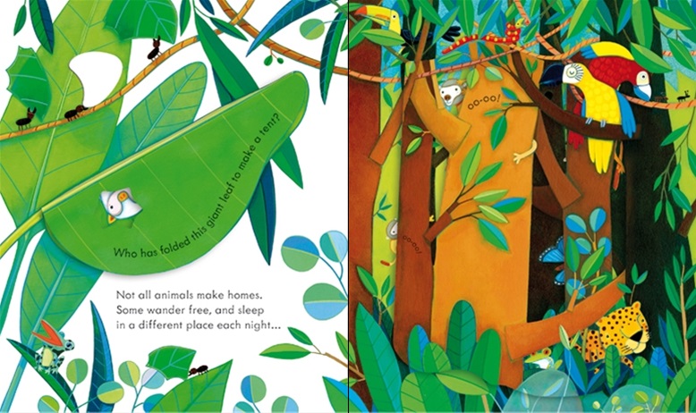 Peep Inside Animal Homes