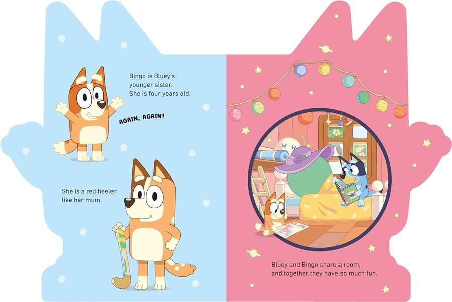 Bluey All About Bingo