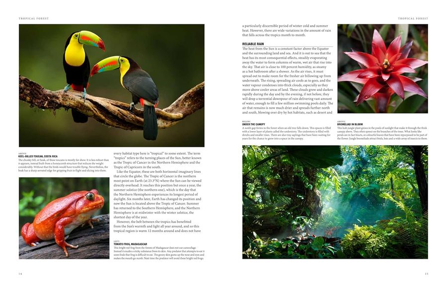 Natural History of the World A Photographic Exploration of Earth's Animals, Plants and Landscapes