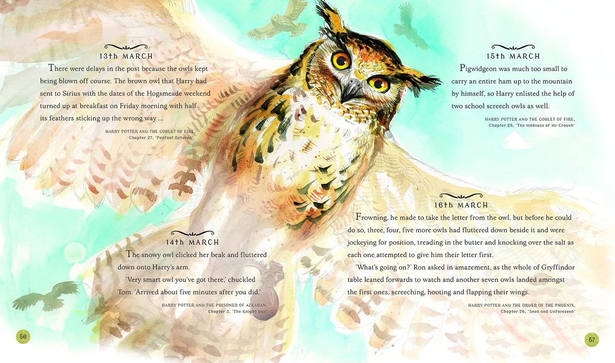 Harry Potter A Magical Year The Illustrations of Jim Kay