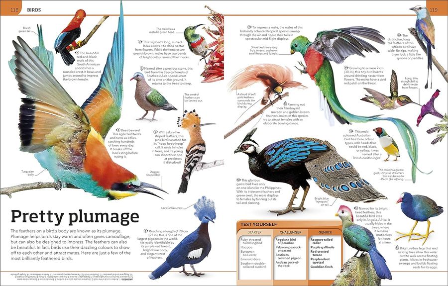 Animal Knowledge Genius A Quiz Encyclopedia to Boost Your Brain