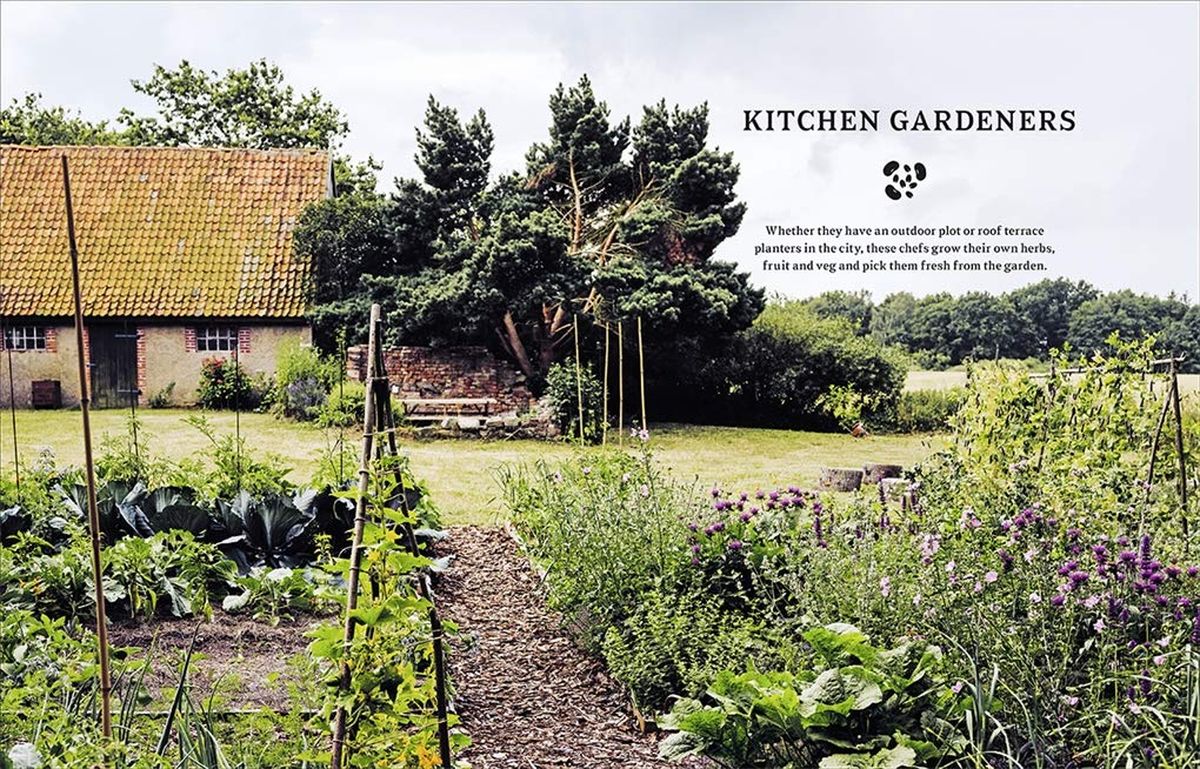 Wild Kitchen Nature-Loving Chefs at Home