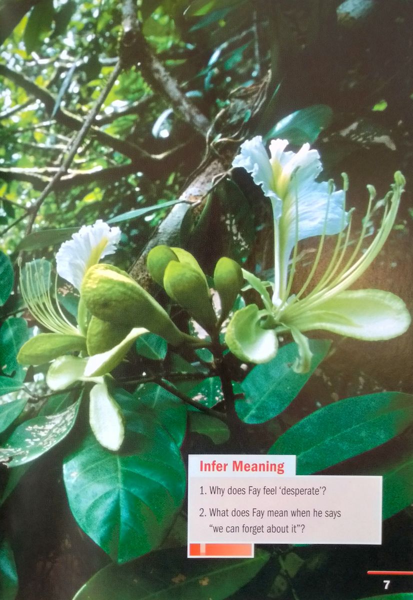 Footprint Reading Library 1000 Headwords A Disappearing World