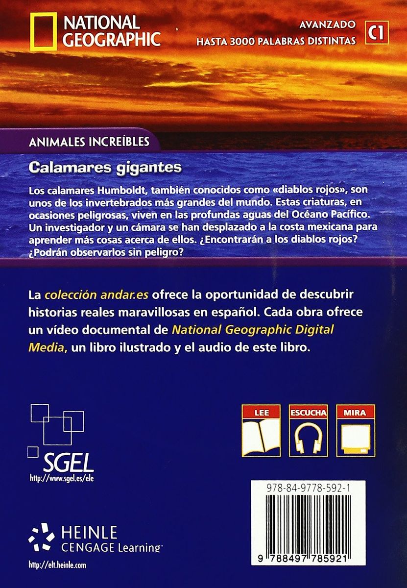 Andar C1 Calamares gigantes + CD