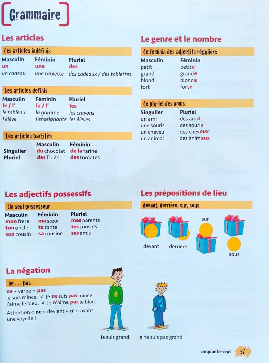 Merci! 1 Livre de l'eleve + DVD-ROM