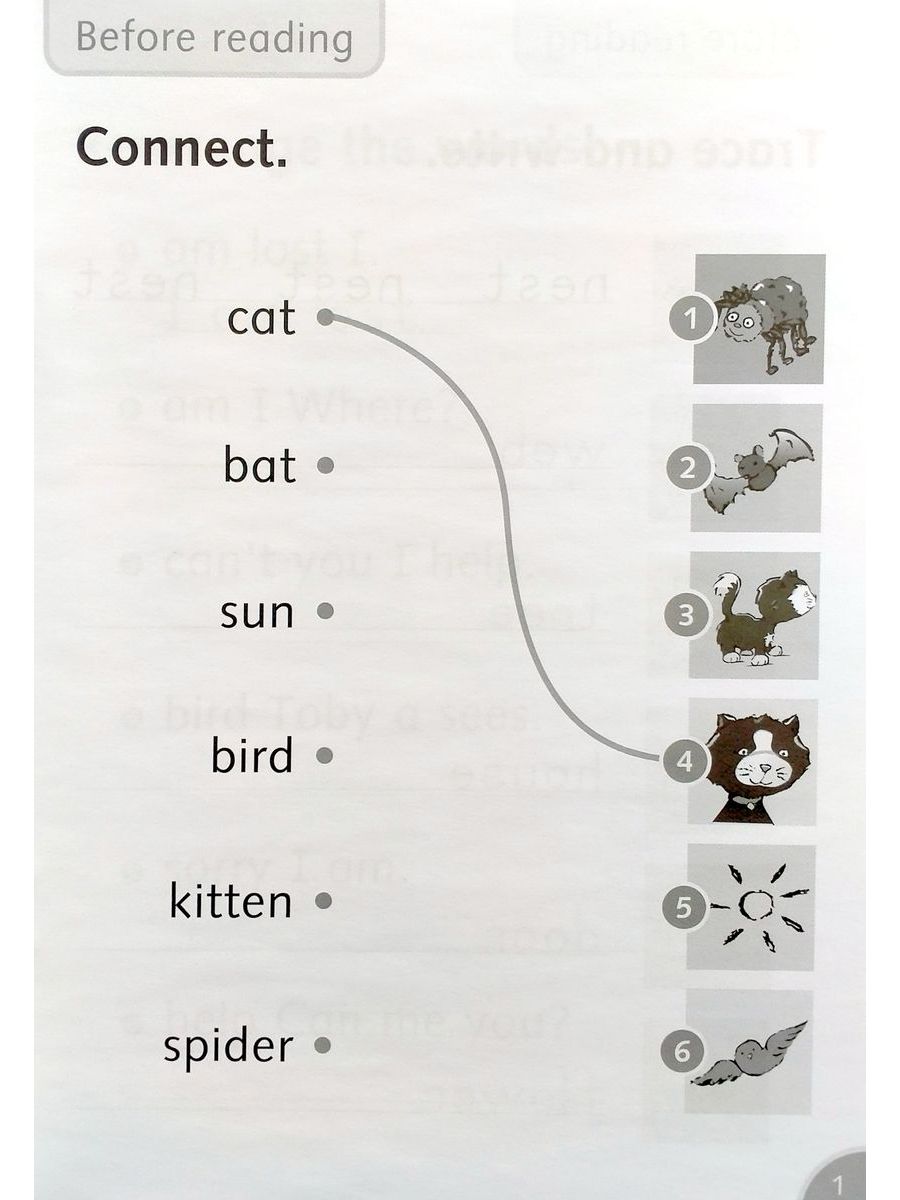Dolphin Readers 1 Lost Kitten Activity Book
