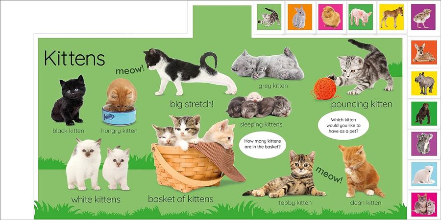 My First Baby Animals Let's Find Our Favourites